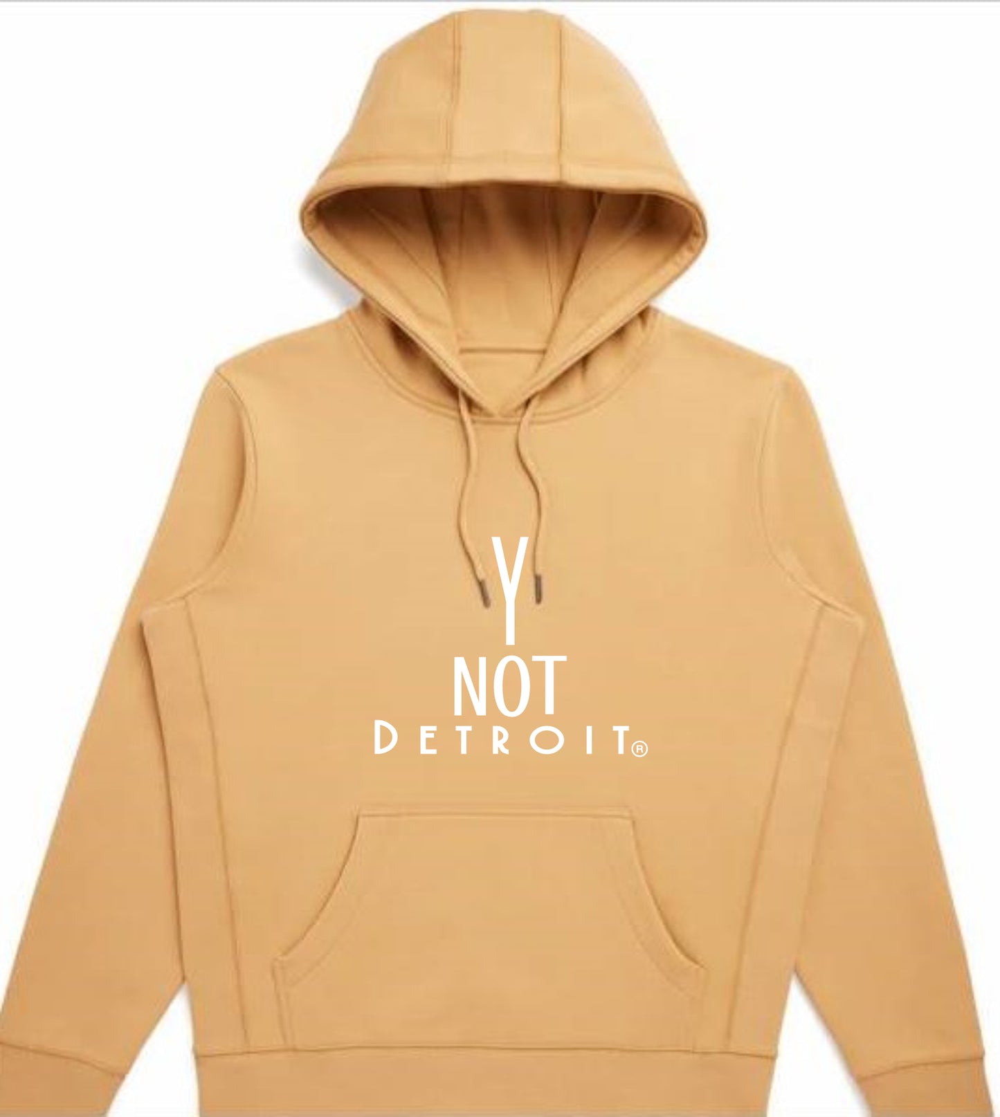 Y Not Detroit logo hooded sweatshirt